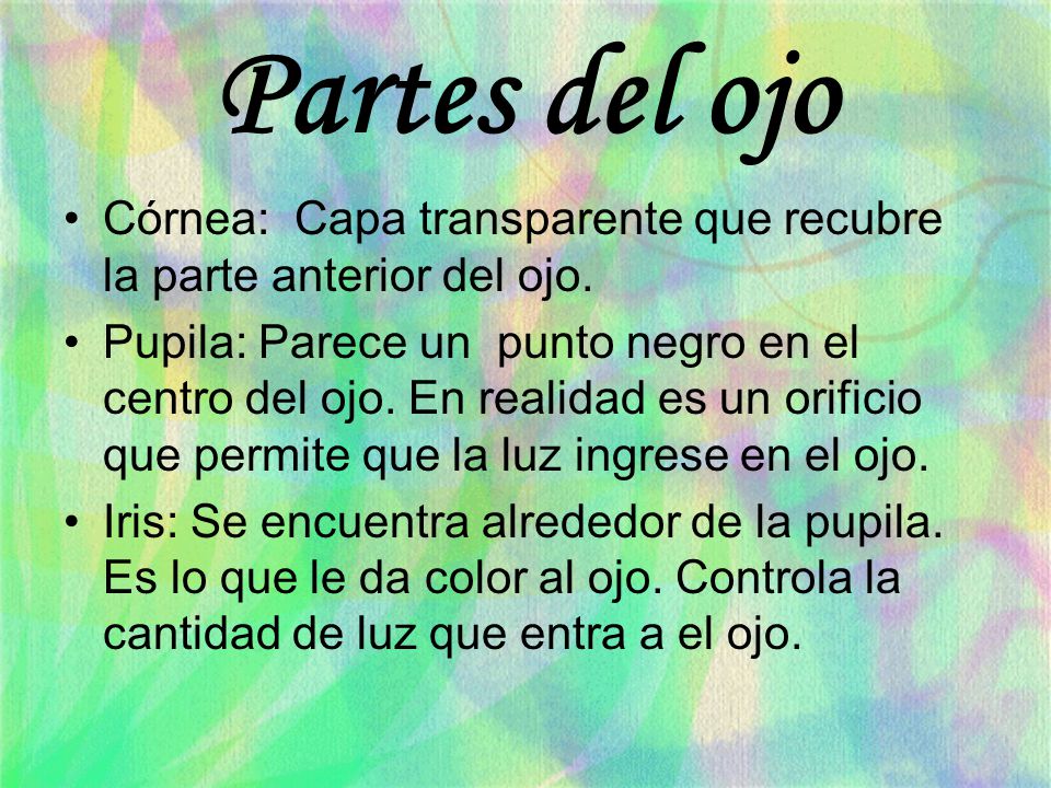 Partes del ojo Córnea: Capa transparente que recubre la parte anterior del ojo.