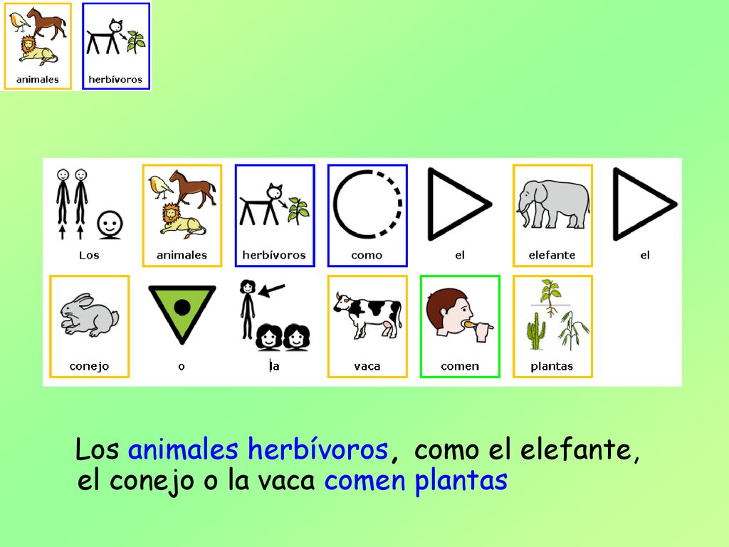 Los animales herbívoros, como el elefante, el conejo o la vaca comen plantas