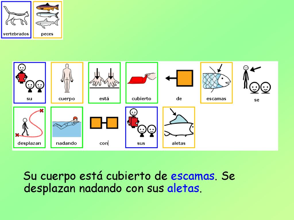 Su cuerpo está cubierto de escamas. Se desplazan nadando con sus aletas.