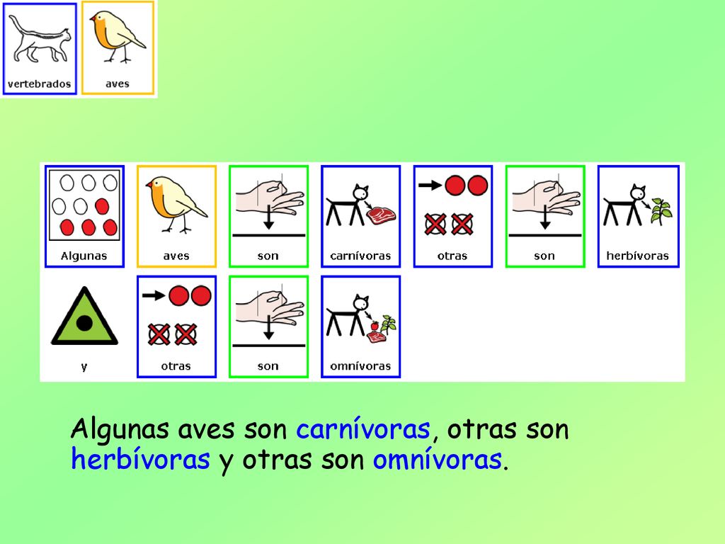 Algunas aves son carnívoras, otras son herbívoras y otras son omnívoras.
