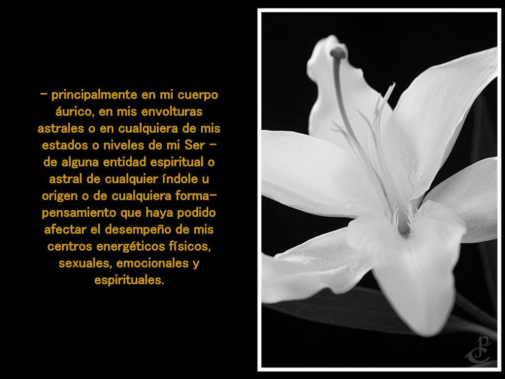 - principalmente en mi cuerpo áurico, en mis envolturas astrales o en cualquiera de mis estados o niveles de mi Ser - de alguna entidad espiritual o astral de cualquier índole u origen o de cualquiera forma-pensamiento que haya podido afectar el desempeño de mis centros energéticos físicos, sexuales, emocionales y espirituales.