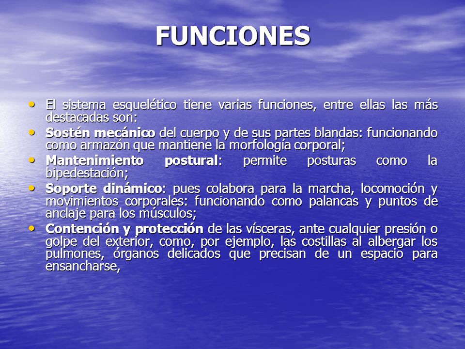 FUNCIONES El sistema esquelético tiene varias funciones, entre ellas las más destacadas son: