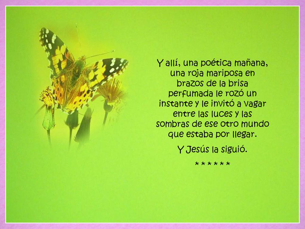 Y allí, una poética mañana, una roja mariposa en brazos de la brisa perfumada le rozó un instante y le invitó a vagar entre las luces y las sombras de ese otro mundo que estaba por llegar.