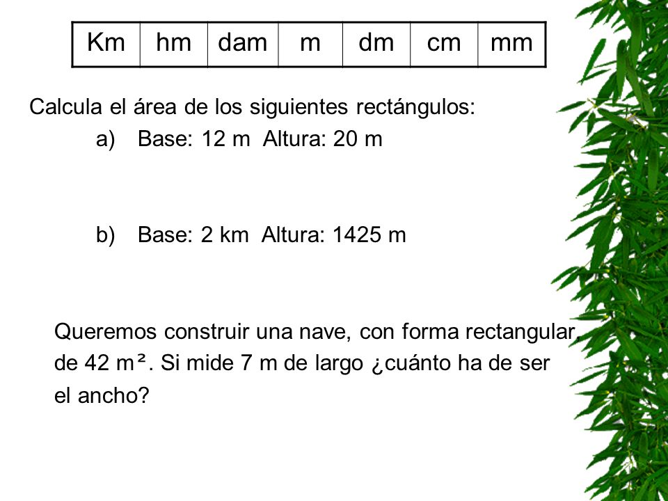 Km hm dam m dm cm mm Calcula el área de los siguientes rectángulos: