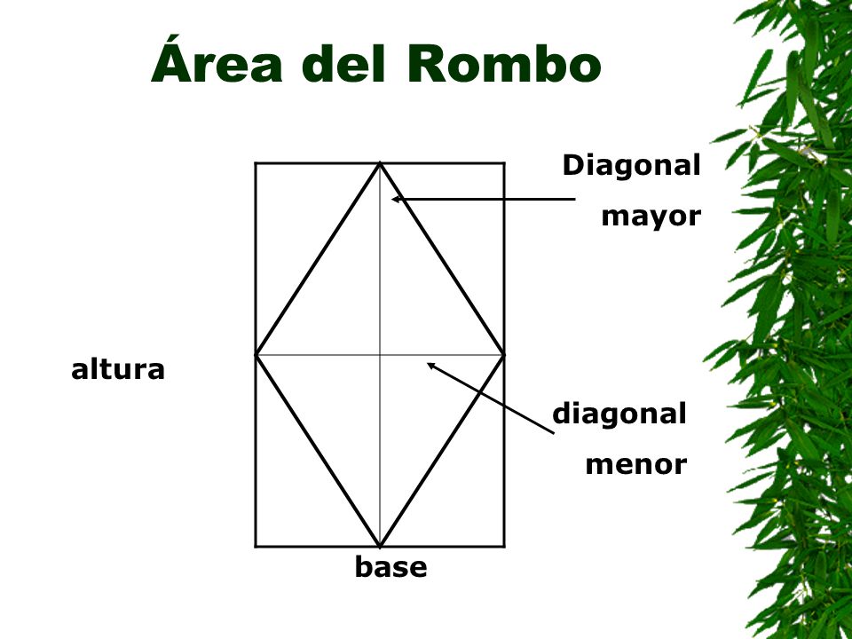 Área del Rombo Diagonal mayor altura diagonal menor base