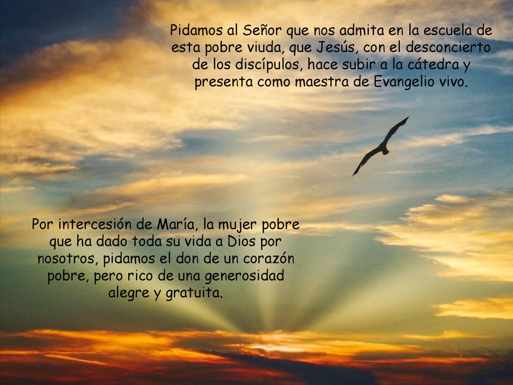 Pidamos al Señor que nos admita en la escuela de esta pobre viuda, que Jesús, con el desconcierto de los discípulos, hace subir a la cátedra y presenta como maestra de Evangelio vivo.
