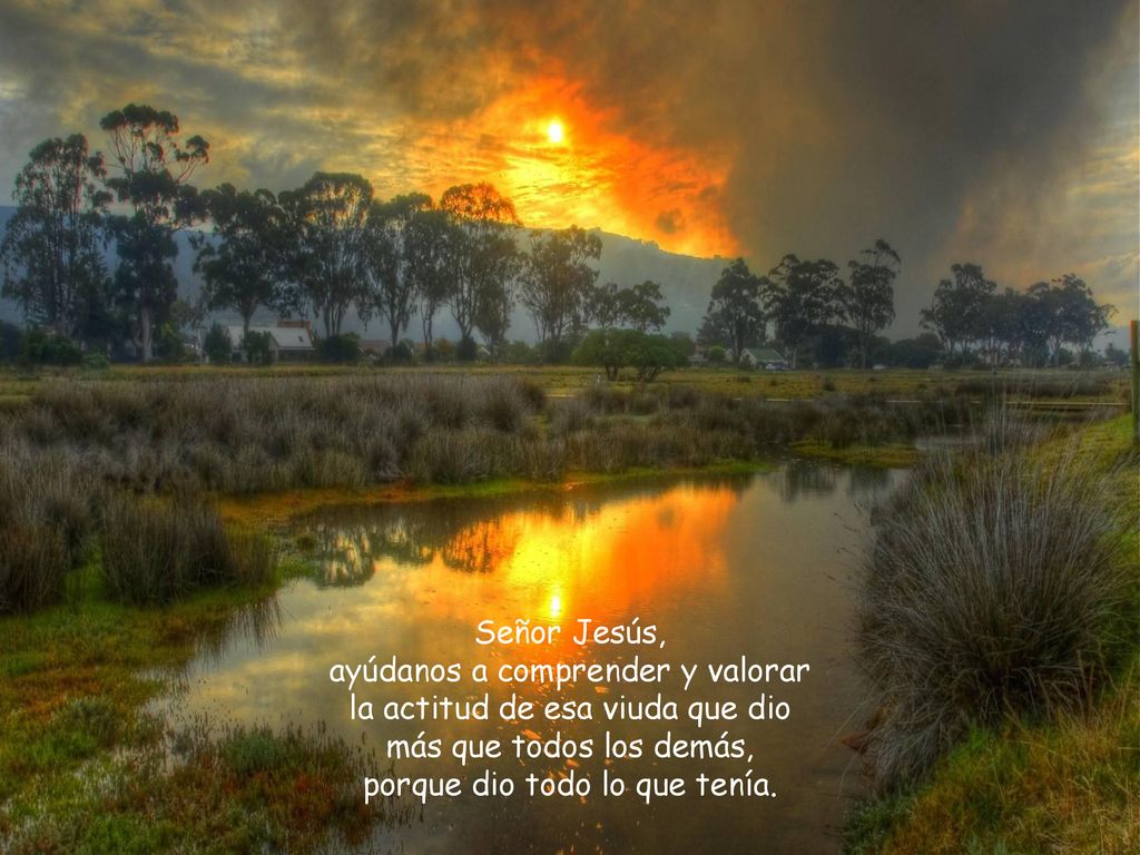Señor Jesús, ayúdanos a comprender y valorar la actitud de esa viuda que dio más que todos los demás, porque dio todo lo que tenía.