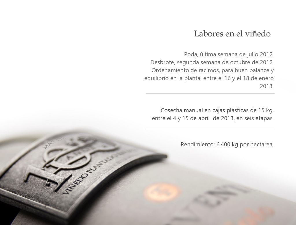 Labores en el viñedo Poda, última semana de julio 2012.