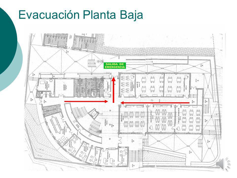 Evacuación Planta Baja