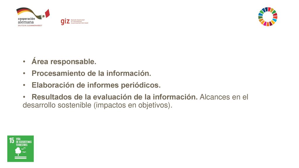 Área responsable. Procesamiento de la información. Elaboración de informes periódicos.