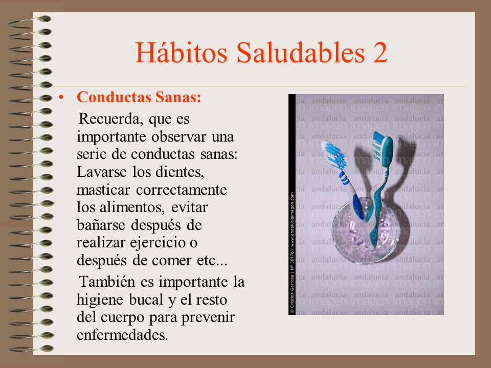 Hábitos Saludables 2 Conductas Sanas: