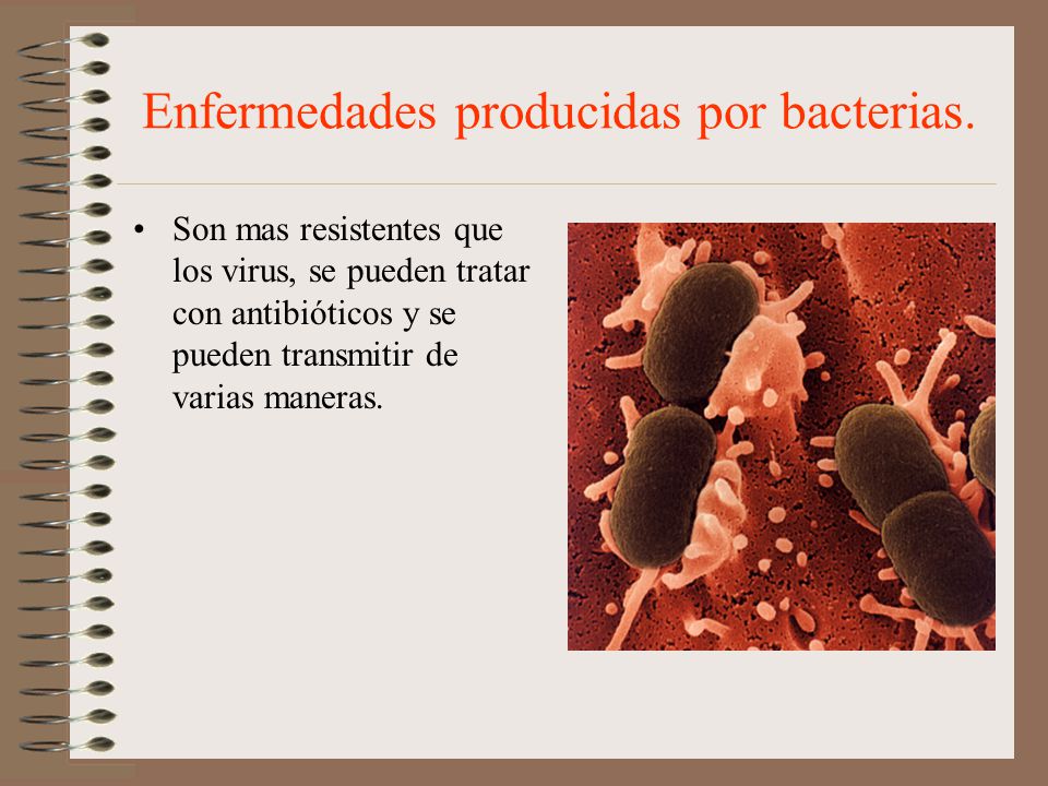 Enfermedades producidas por bacterias.