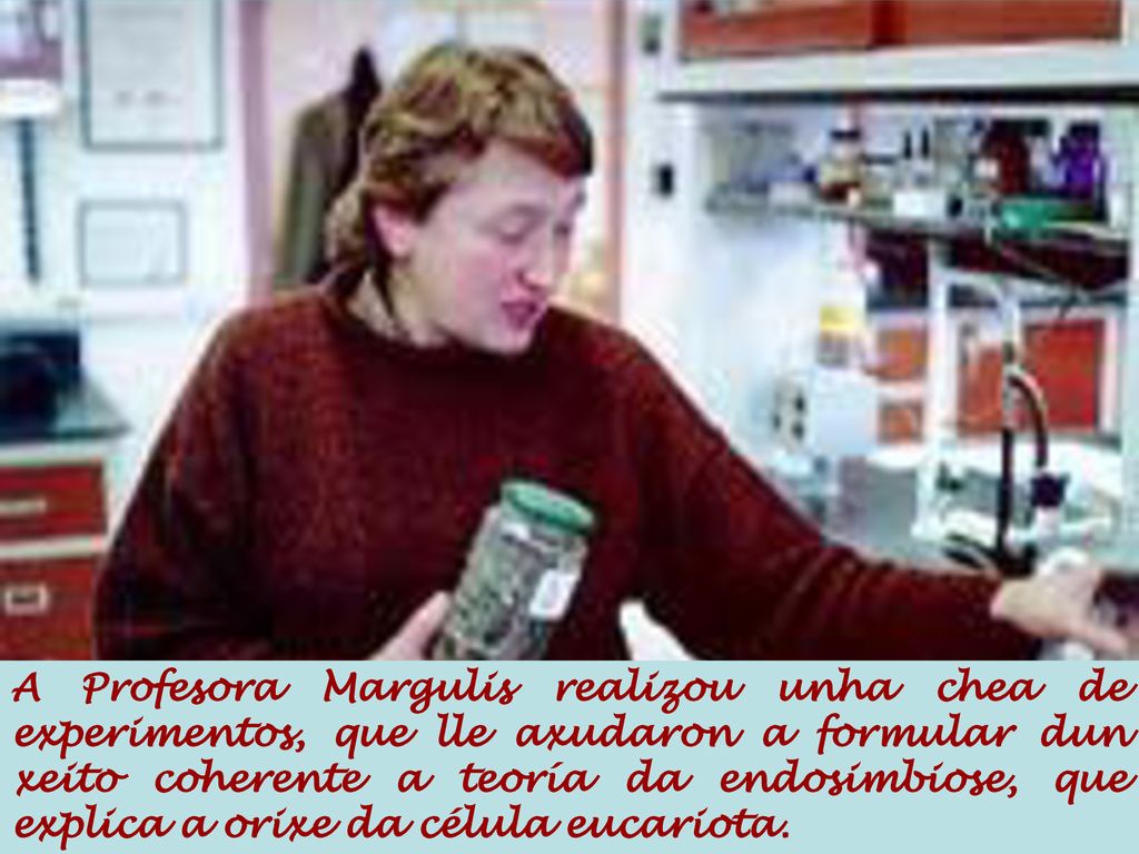 A Profesora Margulis realizou unha chea de experimentos, que lle axudaron a formular dun xeito coherente a teoría da endosimbiose, que explica a orixe da célula eucariota.