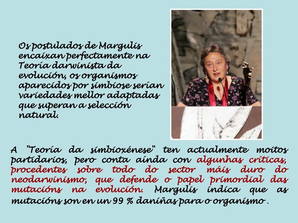 Os postulados de Margulis encaixan perfectamente na Teoría darwinista da evolución, os organismos aparecidos por simbiose serían variedades mellor adaptadas que superan a selección natural.