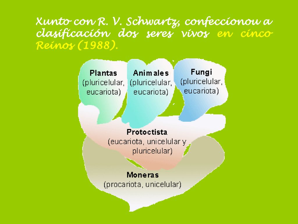Xunto con R. V. Schwartz, confeccionou a clasificación dos seres vivos en cinco Reinos (1988).