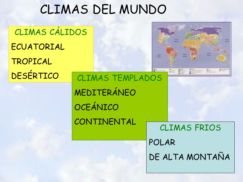 CLIMAS DEL MUNDO CLIMAS CÁLIDOS ECUATORIAL TROPICAL DESÉRTICO