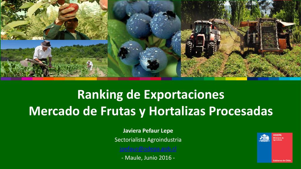 Ranking de Exportaciones Mercado de Frutas y Hortalizas Procesadas