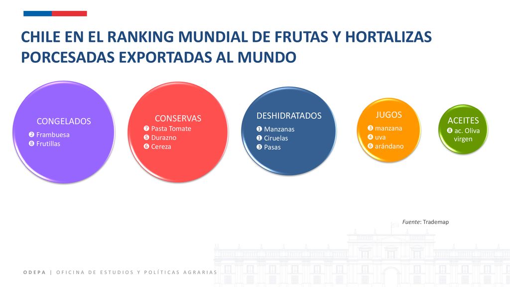 CHILE EN EL RANKING MUNDIAL DE FRUTAS Y HORTALIZAS PORCESADAS EXPORTADAS AL MUNDO
