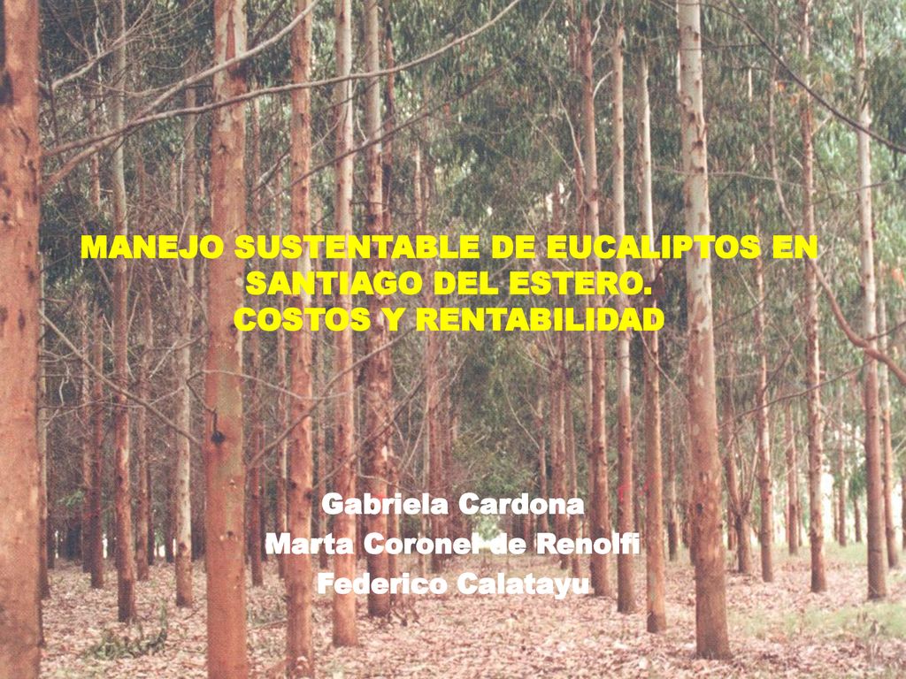 Gabriela Cardona Marta Coronel de Renolfi Federico Calatayu