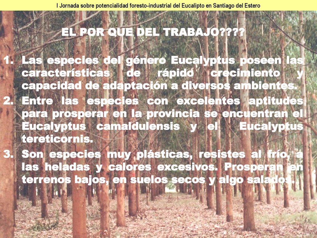 I Jornada sobre potencialidad foresto-industrial del Eucalipto en Santiago del Estero
