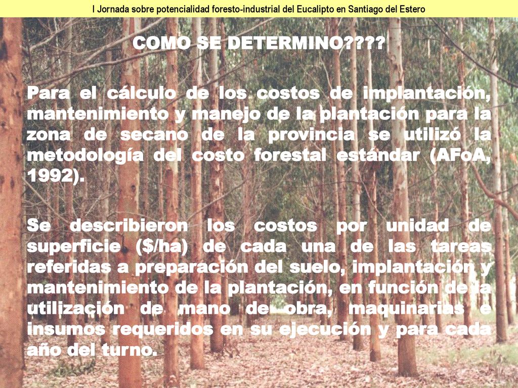 I Jornada sobre potencialidad foresto-industrial del Eucalipto en Santiago del Estero