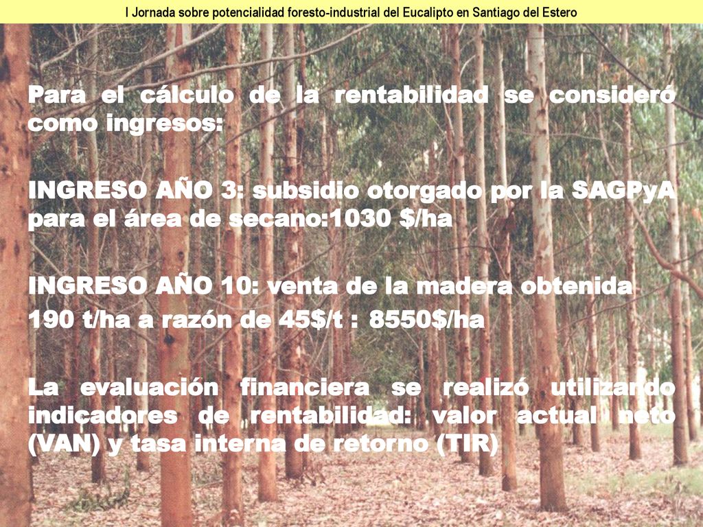 Para el cálculo de la rentabilidad se consideró como ingresos: