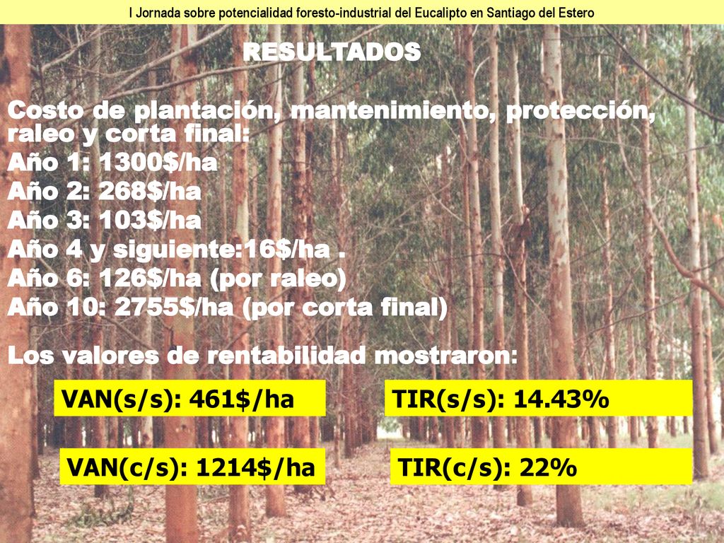 Costo de plantación, mantenimiento, protección, raleo y corta final: