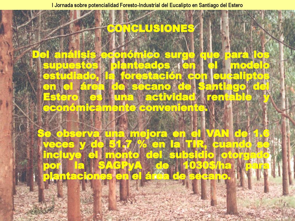I Jornada sobre potencialidad Foresto-Industrial del Eucalipto en Santiago del Estero