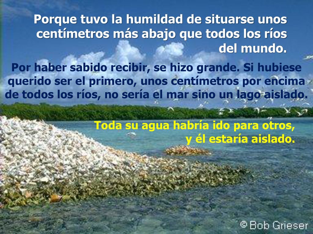Porque tuvo la humildad de situarse unos centímetros más abajo que todos los ríos del mundo.