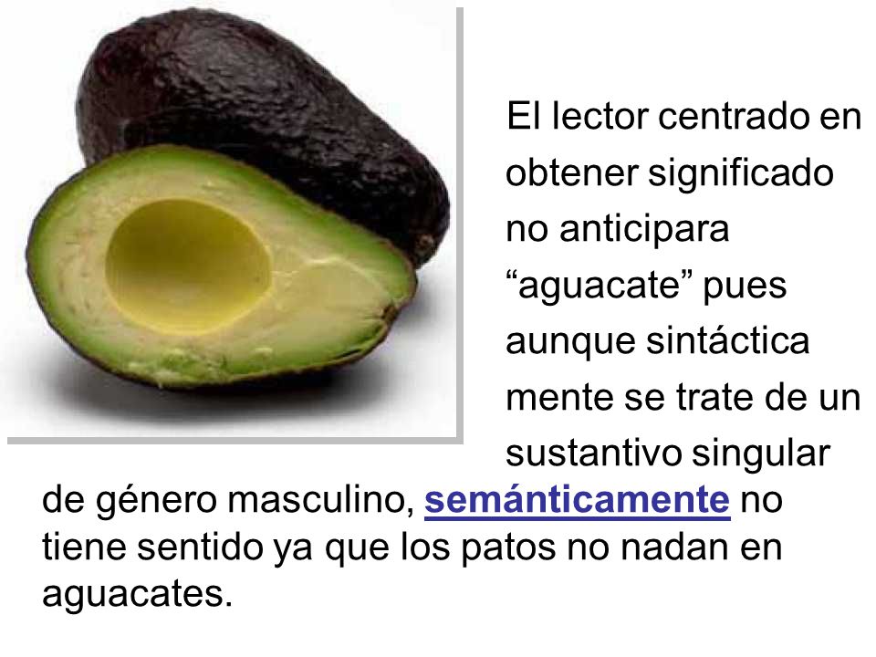 El lector centrado en obtener significado. no anticipara. aguacate pues. aunque sintáctica. mente se trate de un.