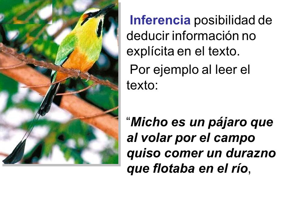 Inferencia posibilidad de deducir información no explícita en el texto.