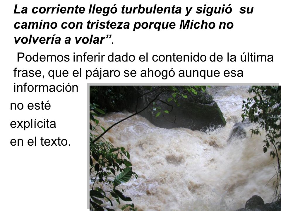 La corriente llegó turbulenta y siguió su camino con tristeza porque Micho no volvería a volar .