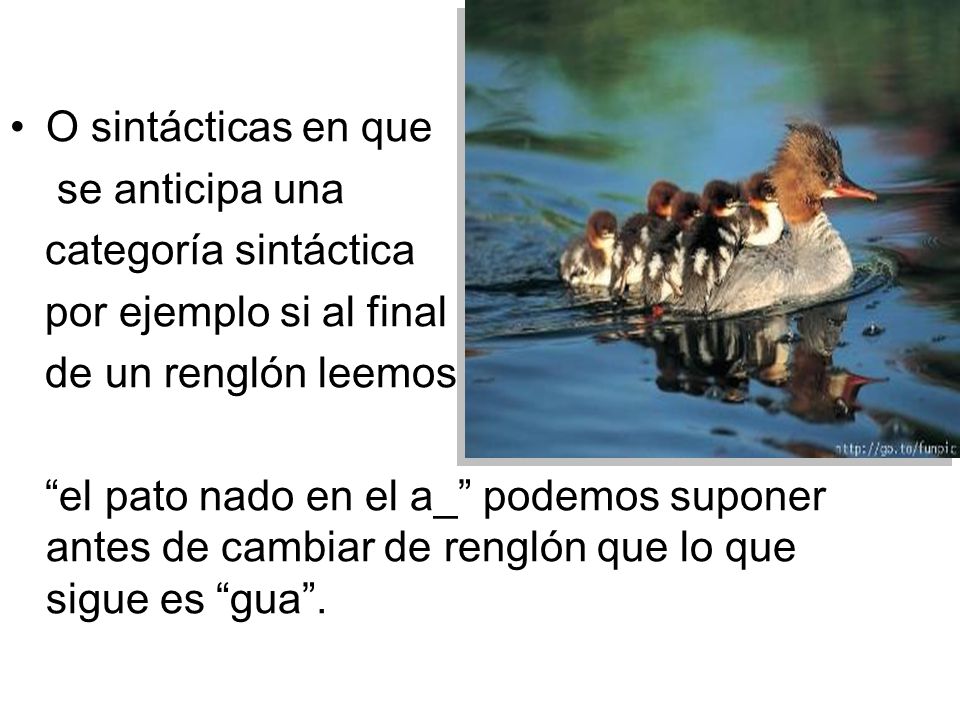 O sintácticas en que se anticipa una. categoría sintáctica. por ejemplo si al final. de un renglón leemos.