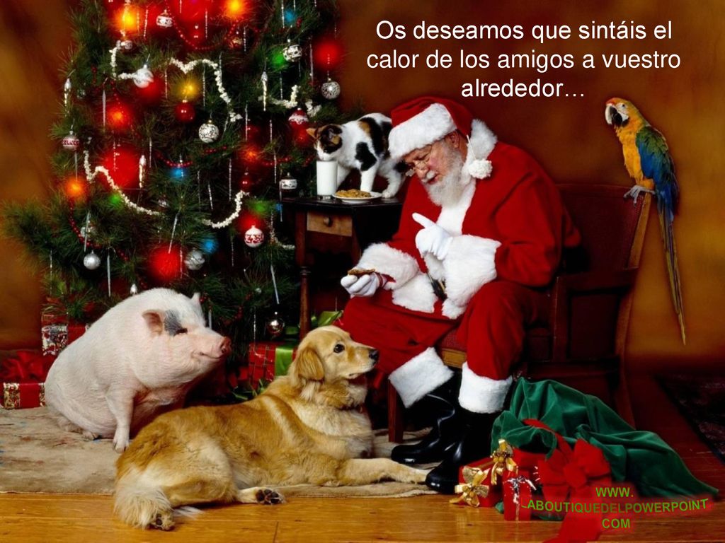 Os deseamos que sintáis el calor de los amigos a vuestro alrededor…