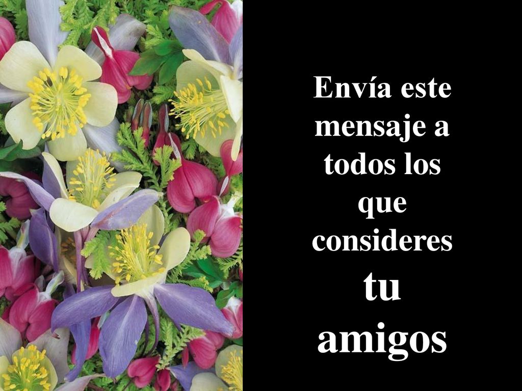 Envía este mensaje a todos los que consideres tu amigos