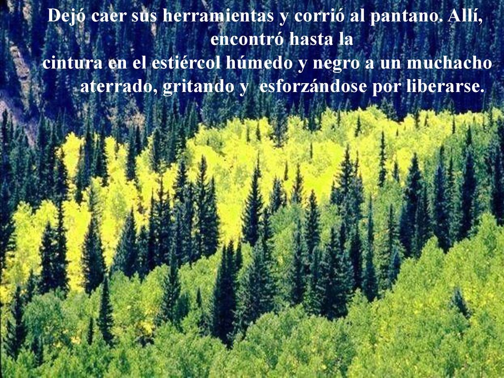 Dejó caer sus herramientas y corrió al pantano. Allí,