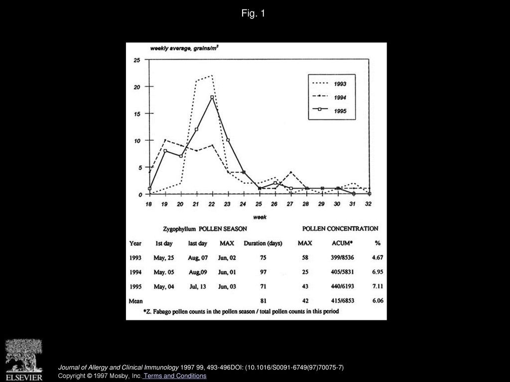 Fig. 1 Zygophyllum fabago pollen season and concentrations. MAX, Maximum; ACUM, Accumulative.