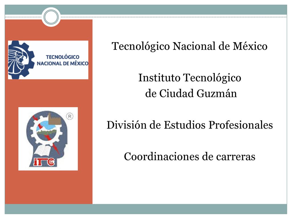 Tecnológico Nacional de México Instituto Tecnológico de Ciudad Guzmán División de Estudios Profesionales Coordinaciones de carreras