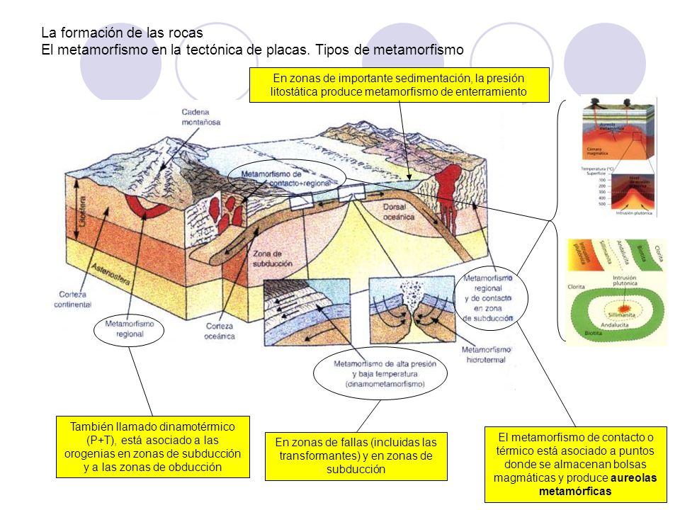 La formación de las rocas El metamorfismo en la tectónica de placas