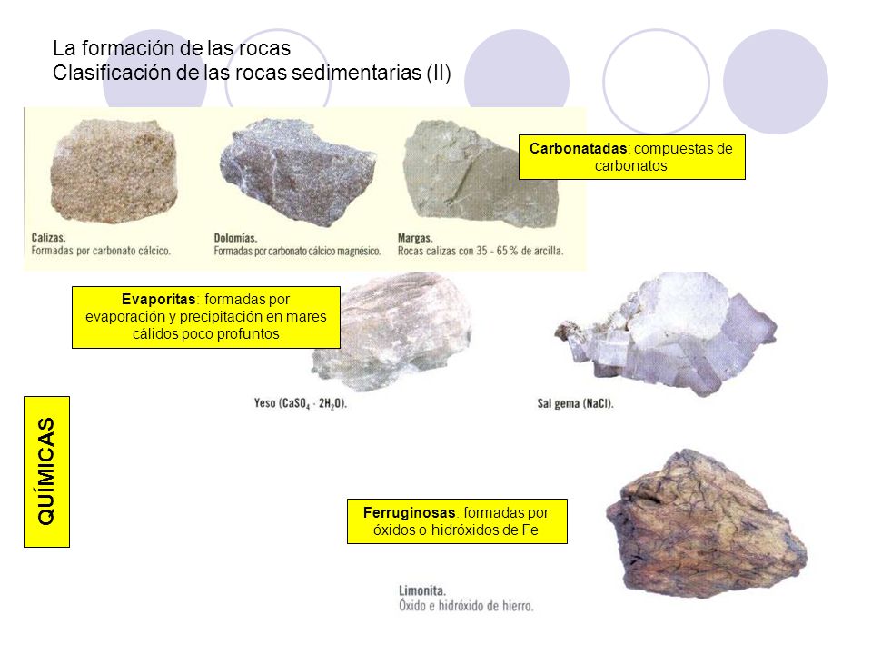 La formación de las rocas Clasificación de las rocas sedimentarias (II)