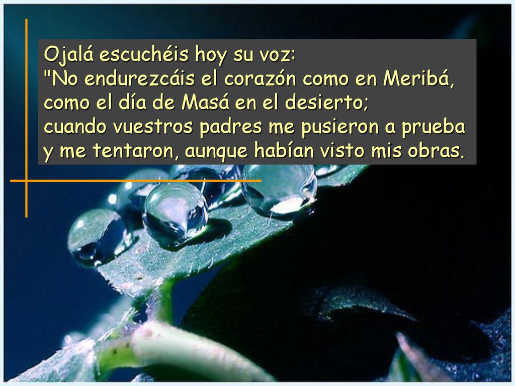 Ojalá escuchéis hoy su voz: No endurezcáis el corazón como en Meribá, como el día de Masá en el desierto; cuando vuestros padres me pusieron a prueba y me tentaron, aunque habían visto mis obras.
