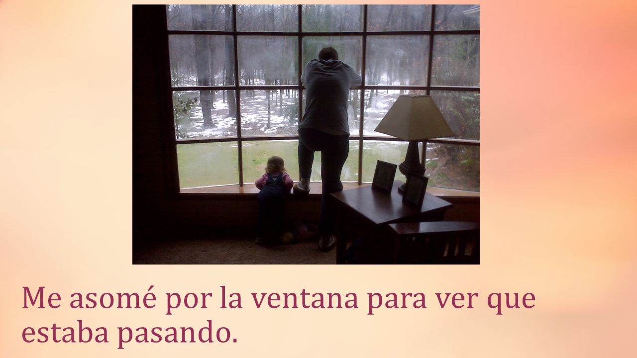 Me asomé por la ventana para ver que estaba pasando.
