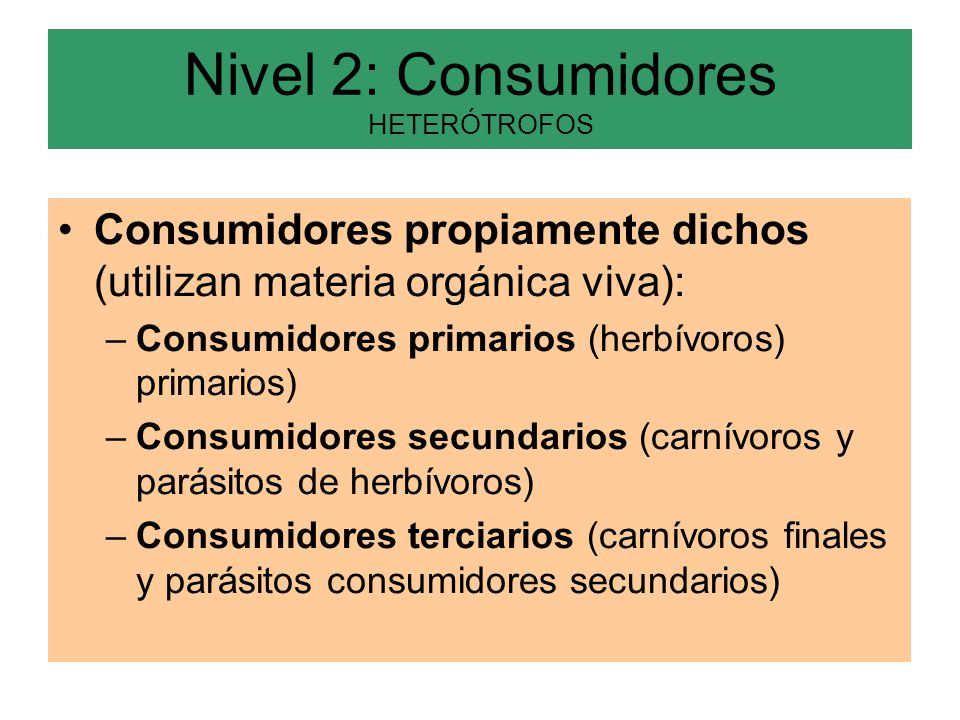 Nivel 2: Consumidores HETERÓTROFOS
