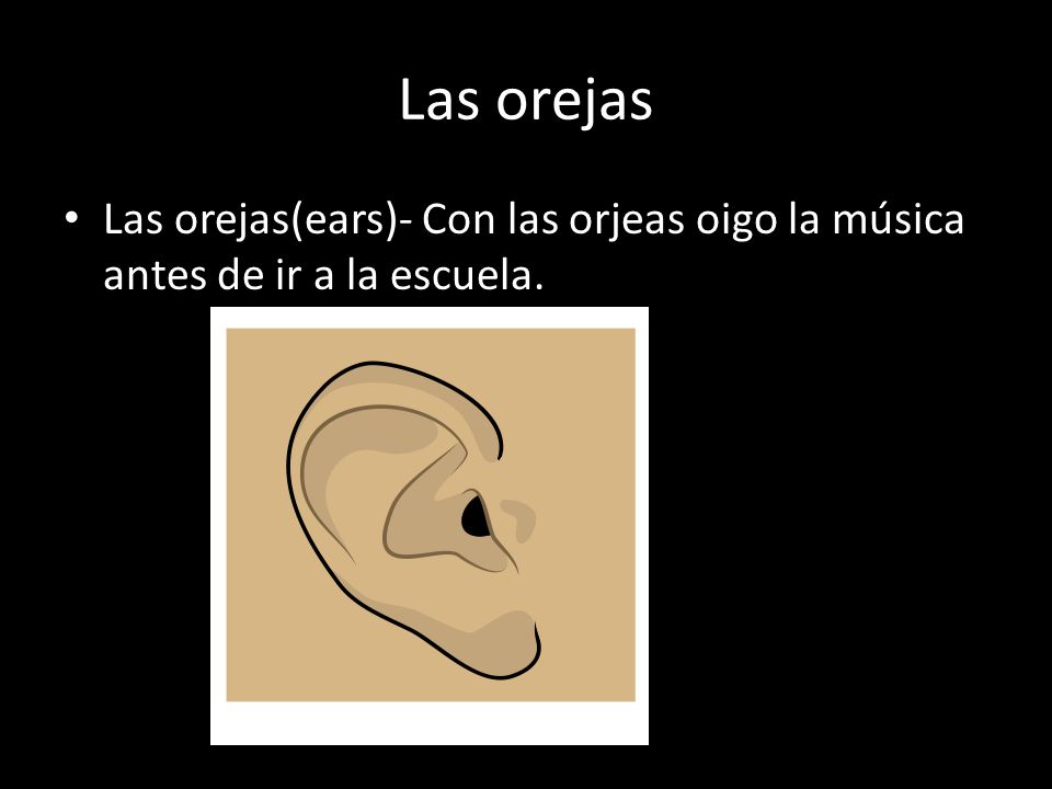 Las orejas Las orejas(ears)- Con las orjeas oigo la música antes de ir a la escuela.