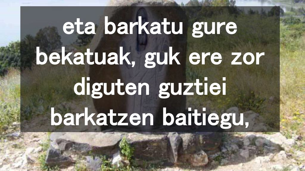 eta barkatu gure bekatuak, guk ere zor diguten guztiei barkatzen baitiegu,