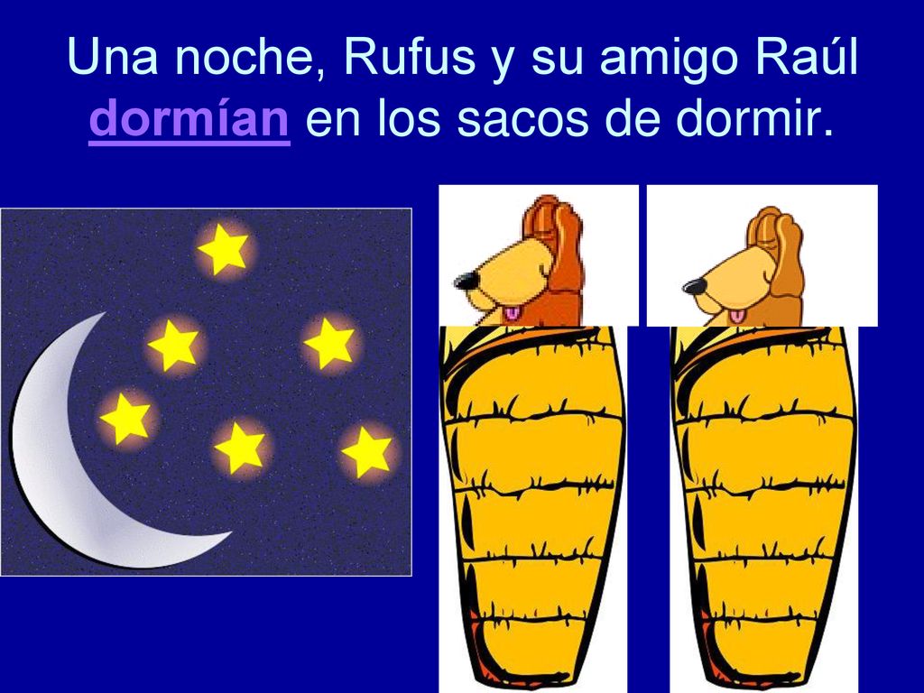 Una noche, Rufus y su amigo Raúl dormían en los sacos de dormir.
