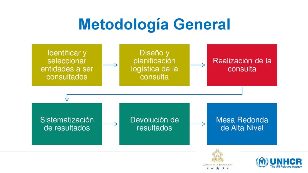 Metodología General Identificar y seleccionar entidades a ser consultados. Diseño y planificación logística de la consulta.