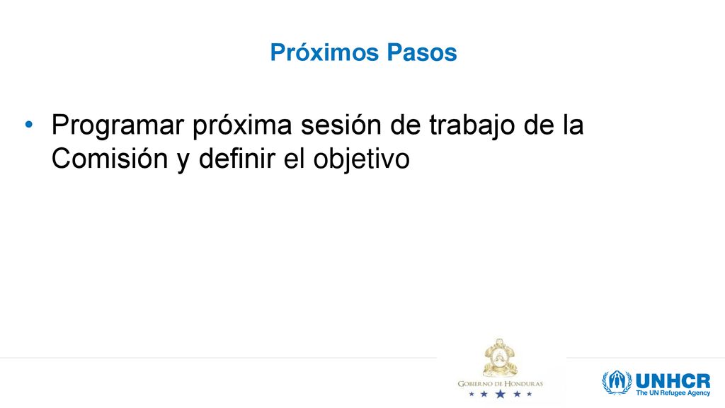 Próximos Pasos Programar próxima sesión de trabajo de la Comisión y definir el objetivo