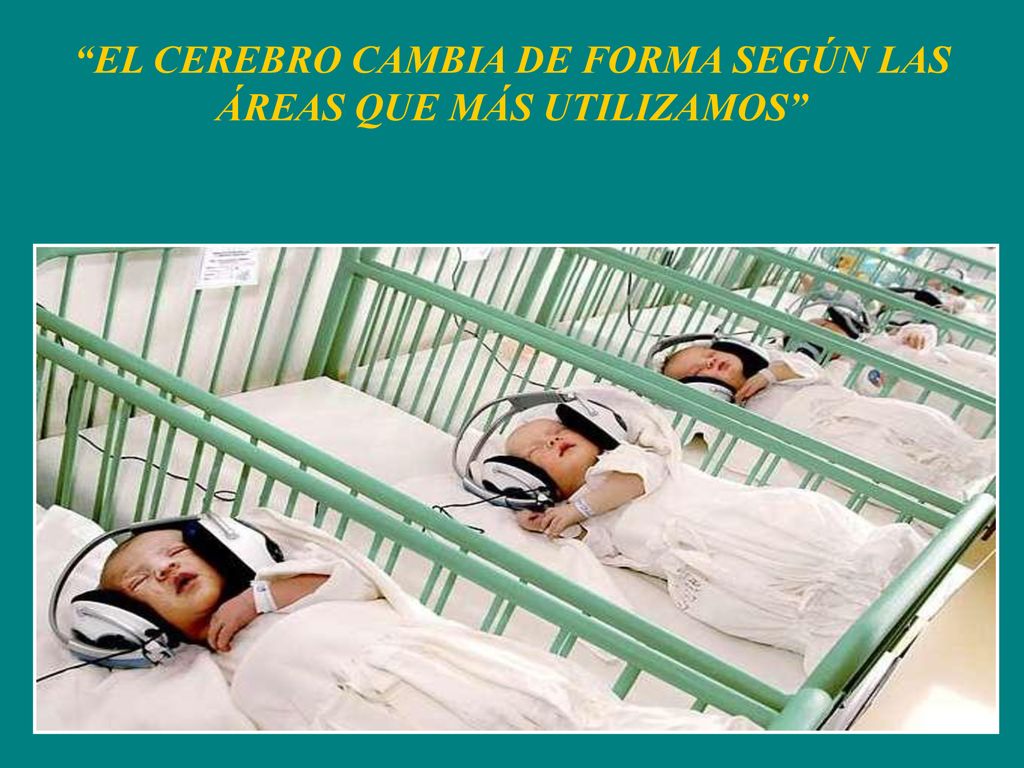 EL CEREBRO CAMBIA DE FORMA SEGÚN LAS ÁREAS QUE MÁS UTILIZAMOS