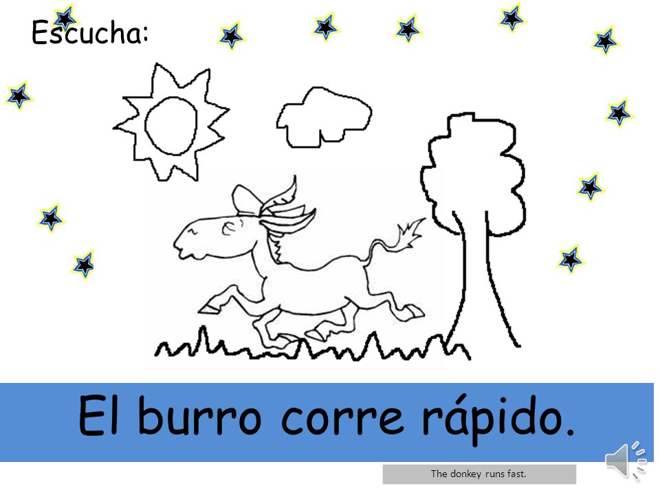 Escucha: El burro corre rápido. The donkey runs fast.